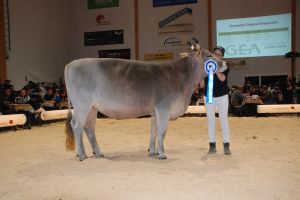 Champion OB_Werda_Stalder Rafael